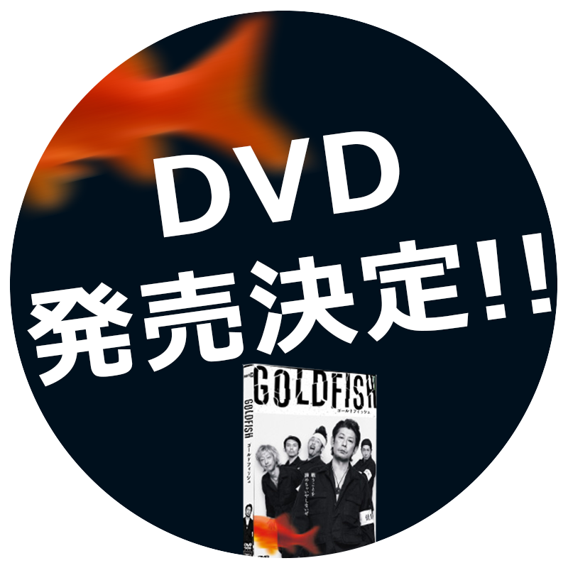 DVDリリース決定