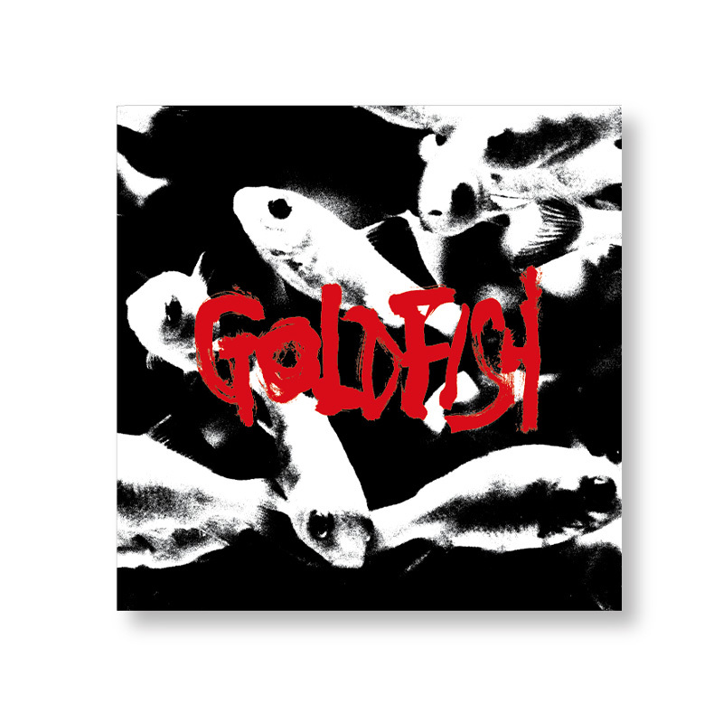 映画『GOLDFISH』パンフレット