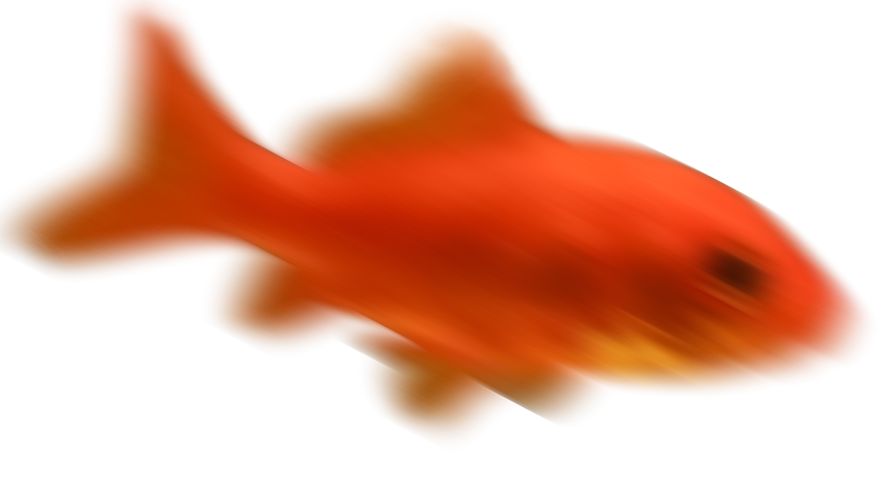 金魚